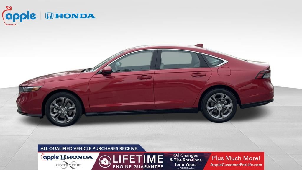 Used 2025 Honda Accord EX-L image 11