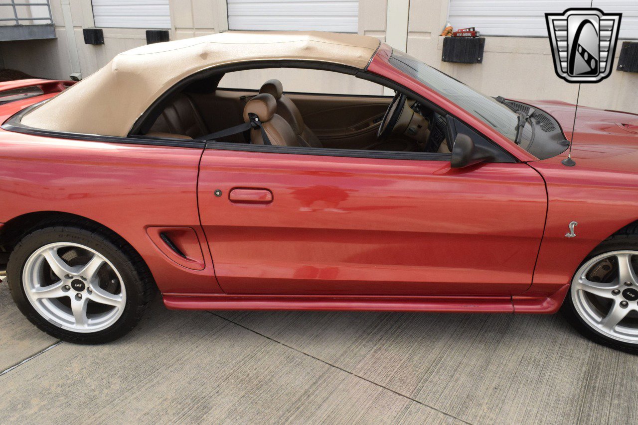 Used 1998 Ford Mustang Cobra image 12