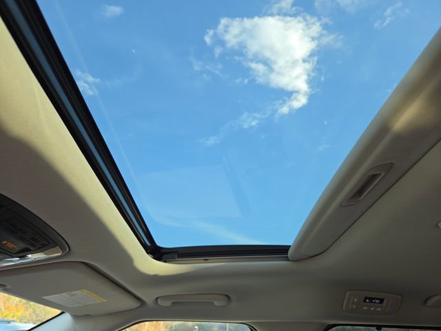 New 2026 Kia Carnival SX image 17