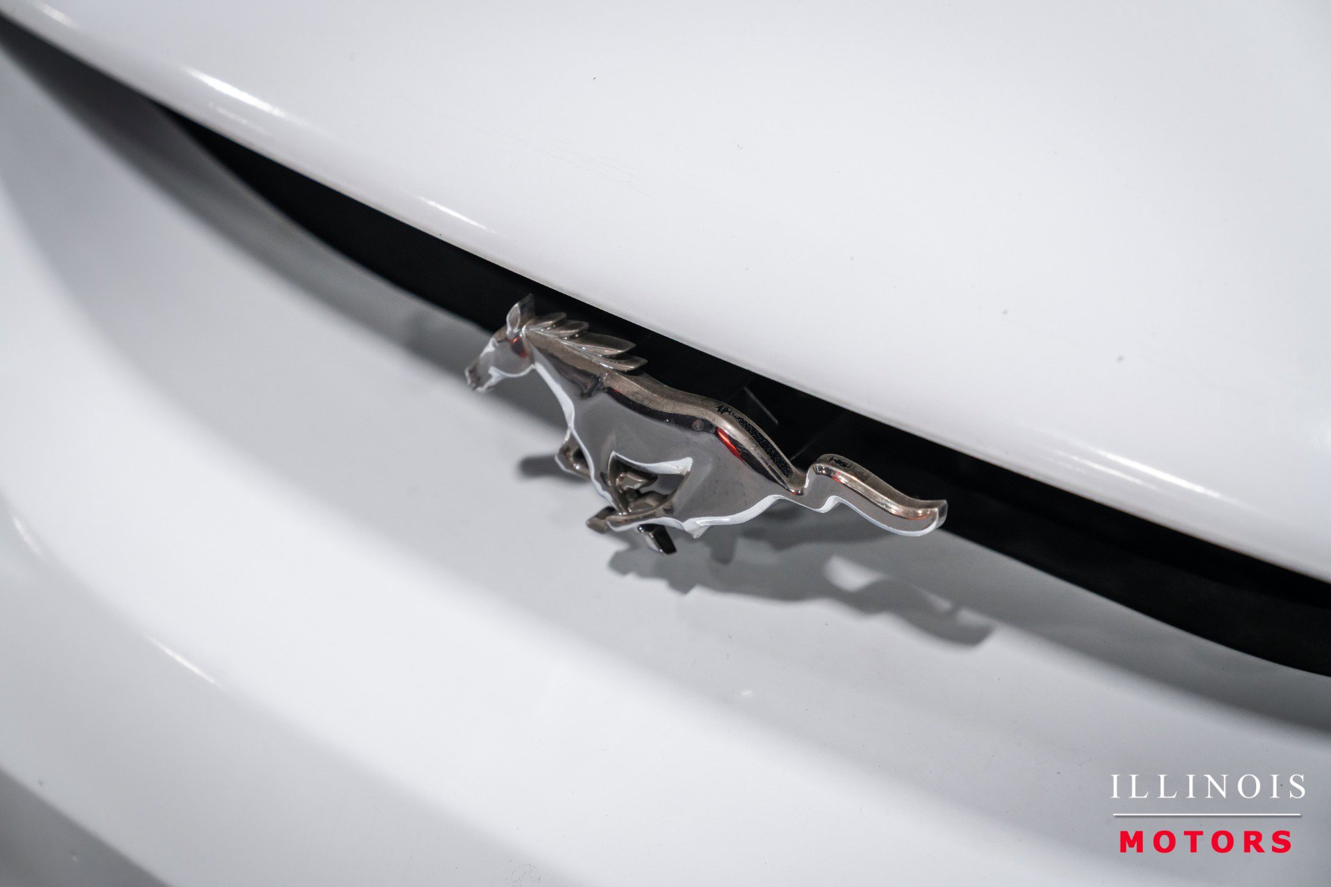 Used 1998 Ford Mustang Cobra RWD image 9