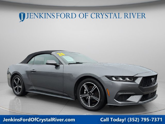 Used 2024 Ford Mustang Premium RWD image 1