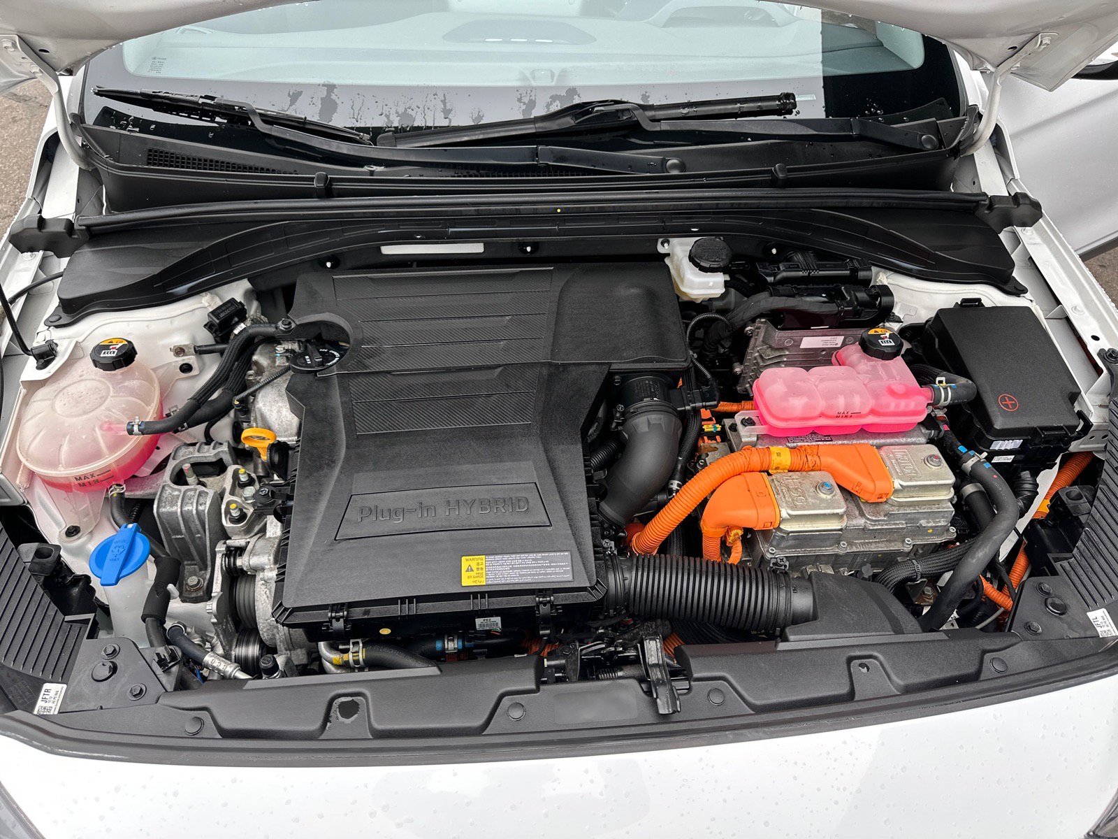 Used 2021 Hyundai Ioniq SEL FWD image 12