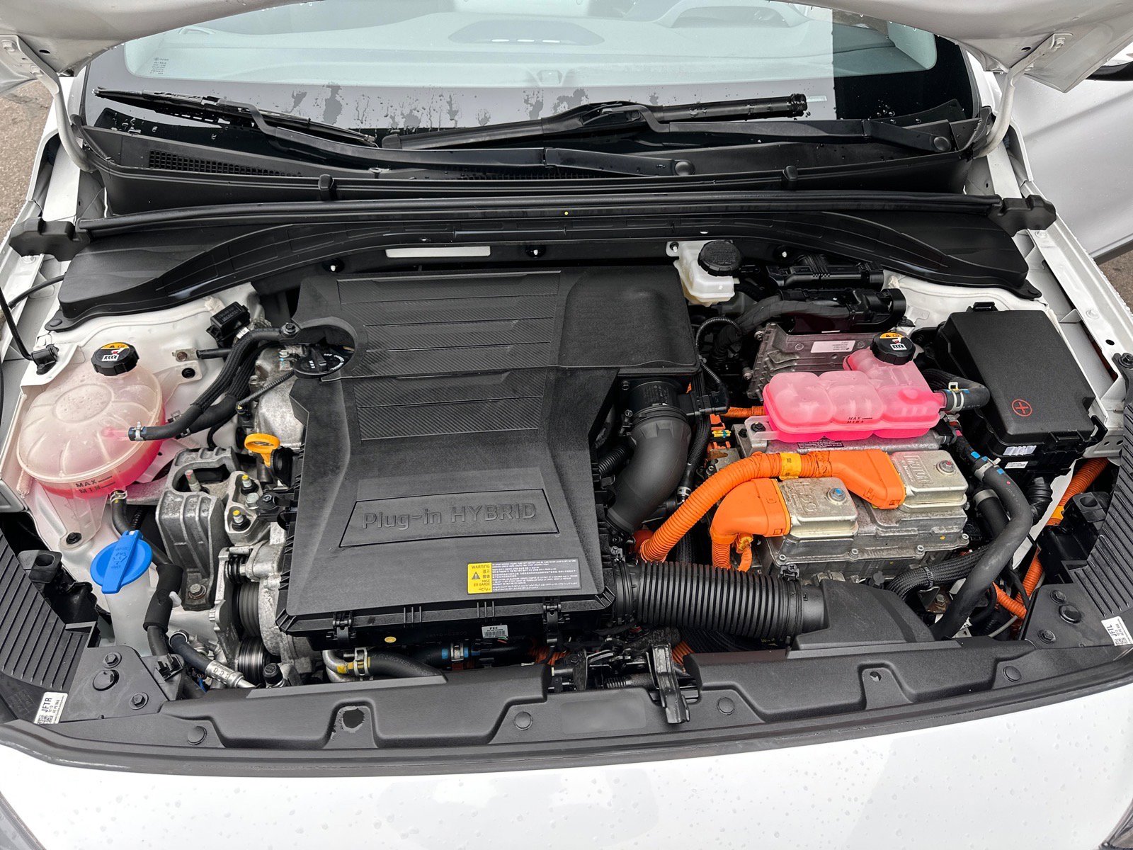 Used 2021 Hyundai Ioniq SEL image 12