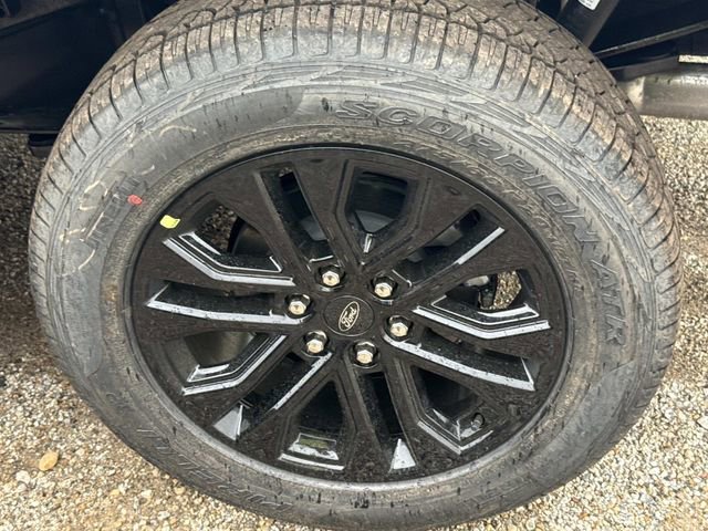 New 2026 Ford F150 XLT w/ Equipment Group 302A MID image 5
