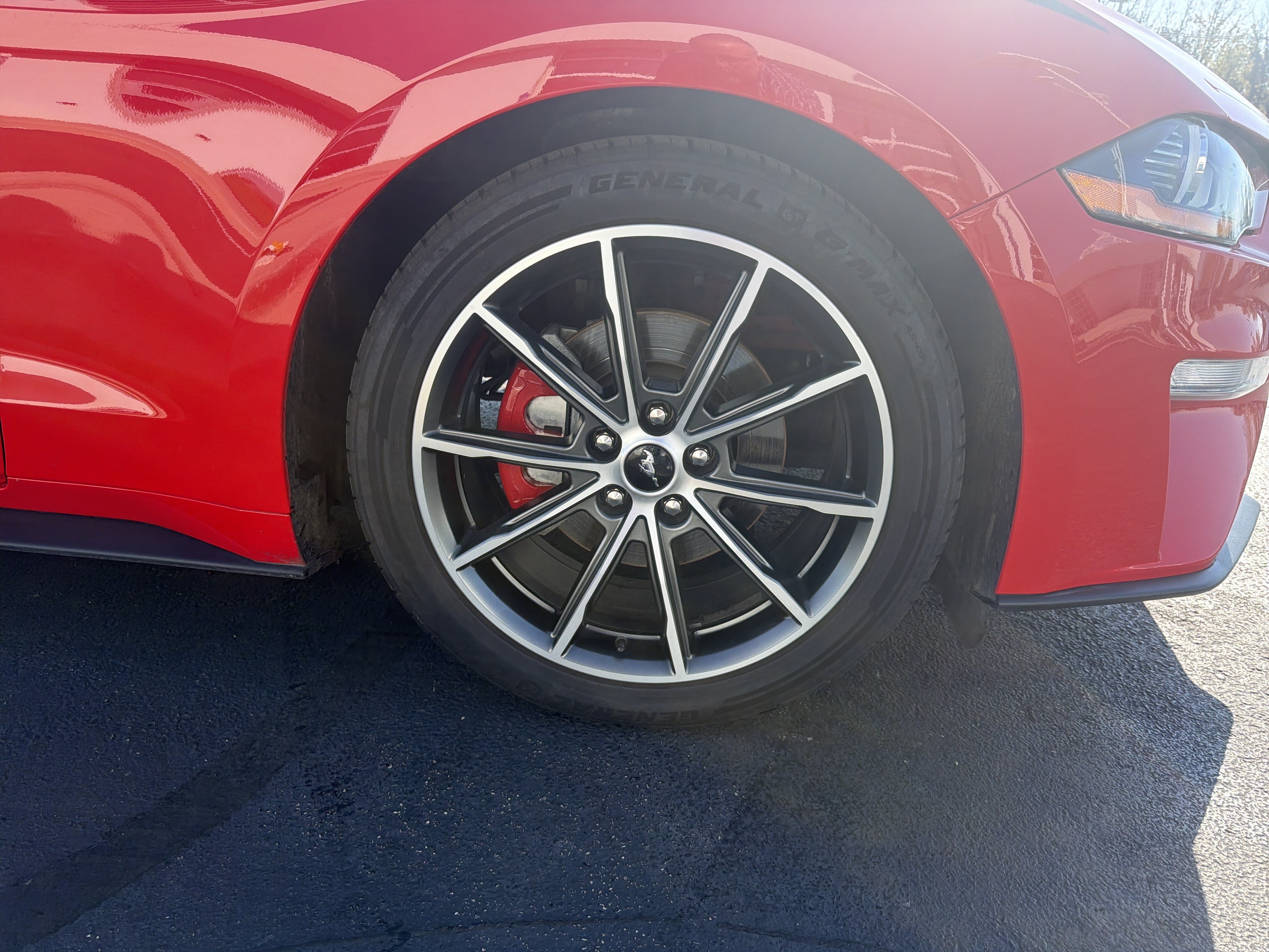 Used 2019 Ford Mustang Premium w/ Equipment Group 201A RWD image 7