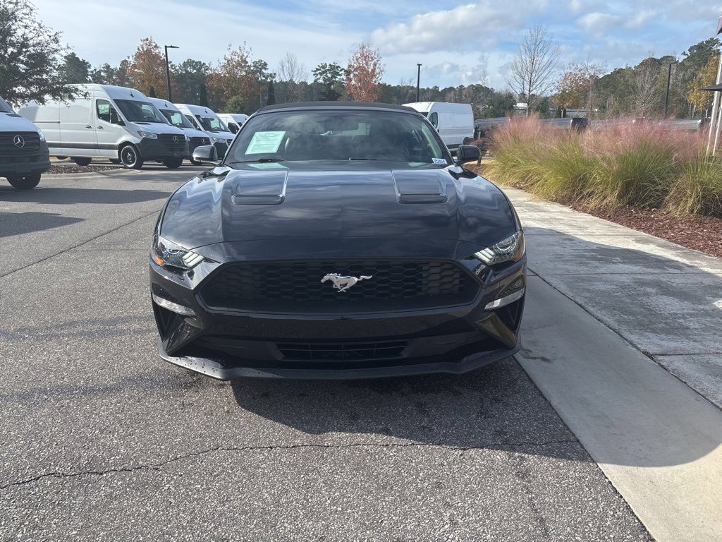 Used 2019 Ford Mustang Premium image 9