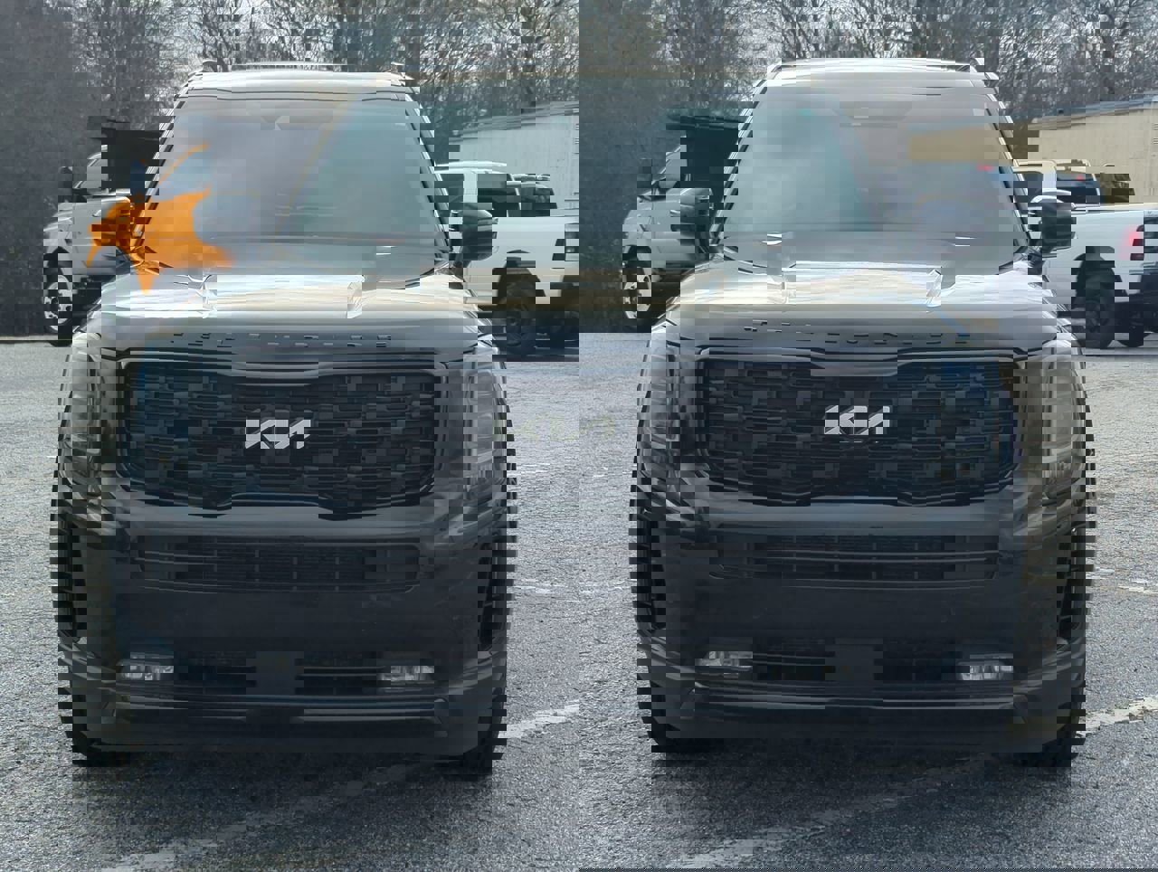 Used 2022 Kia Telluride SX w/ SX Prestige Package image 7