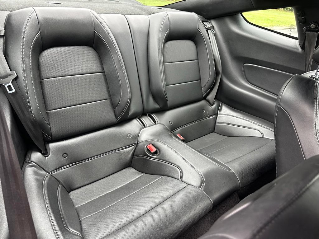 Used 2019 Ford Mustang Premium w/ Equipment Group 201A RWD image 18