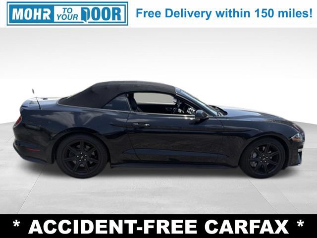Used 2019 Ford Mustang GT Premium w/ Equipment Group 401A RWD image 7