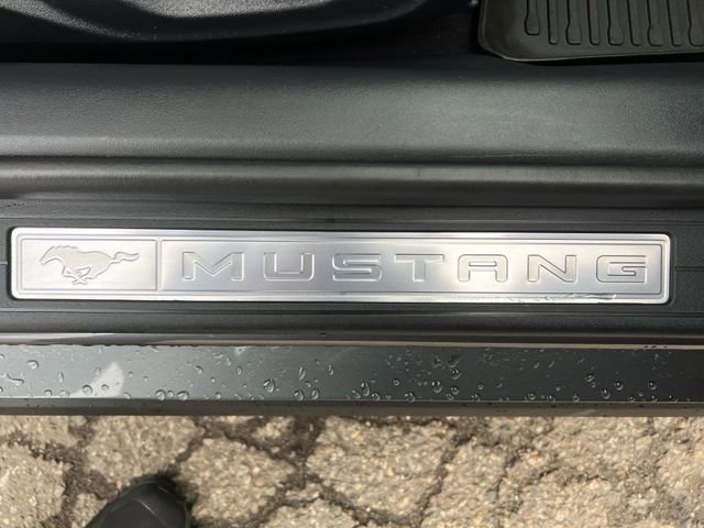 Used 2025 Ford Mustang GT Premium w/ Mustang Nite Pony Package RWD image 36