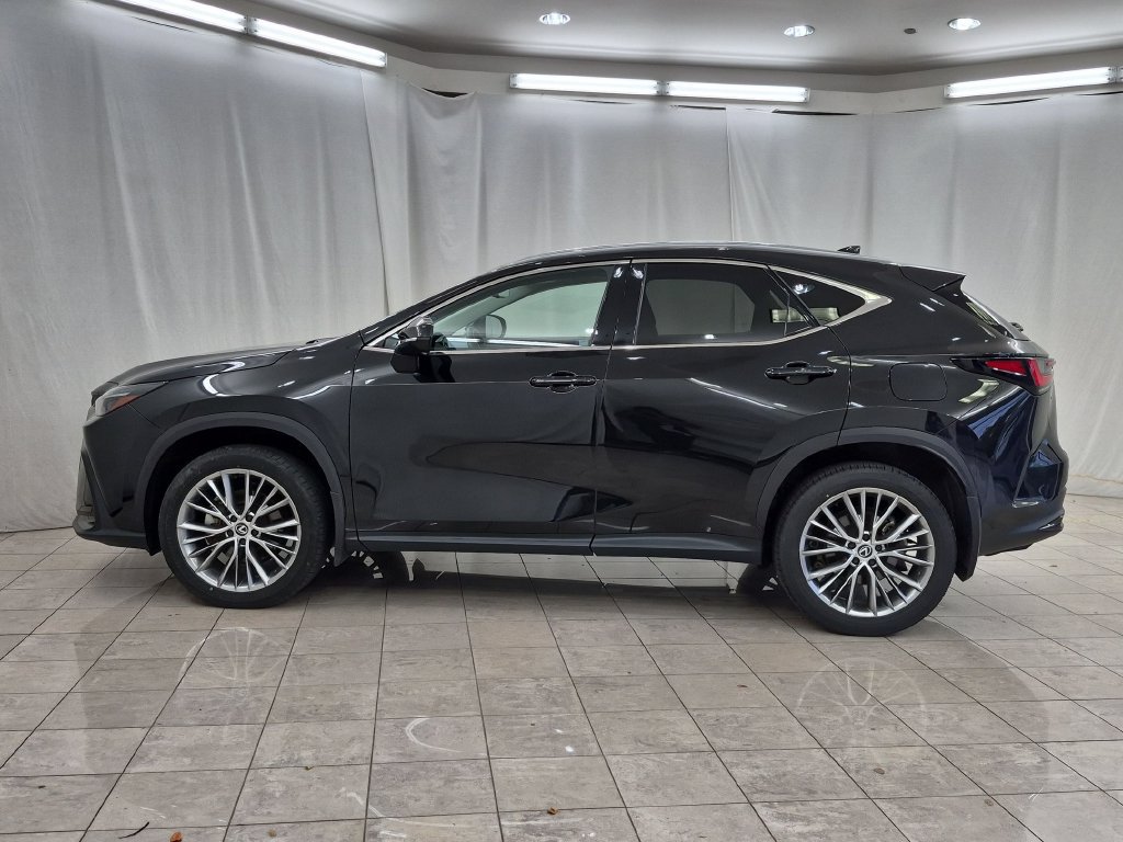 Used 2024 Lexus NX 350 AWD image 5