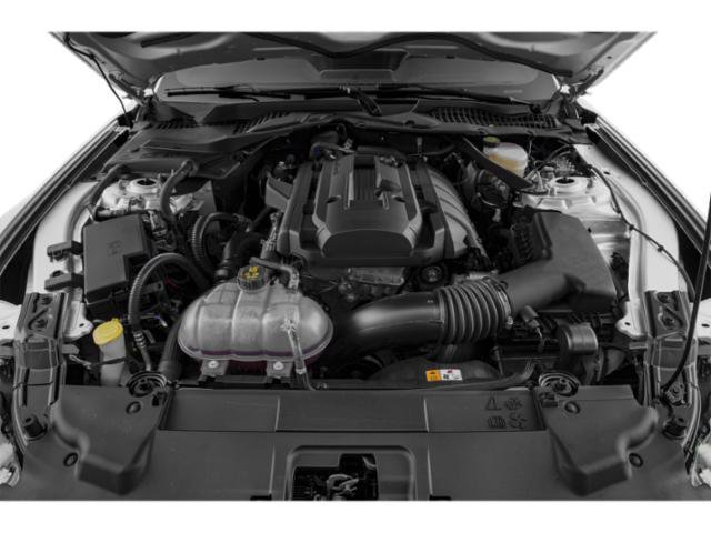 Used 2019 Ford Mustang Premium RWD image 13