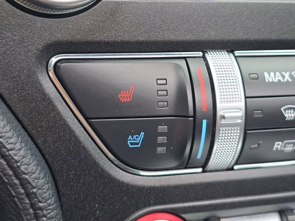 Used 2019 Ford Mustang Premium w/ Equipment Group 201A RWD image 8