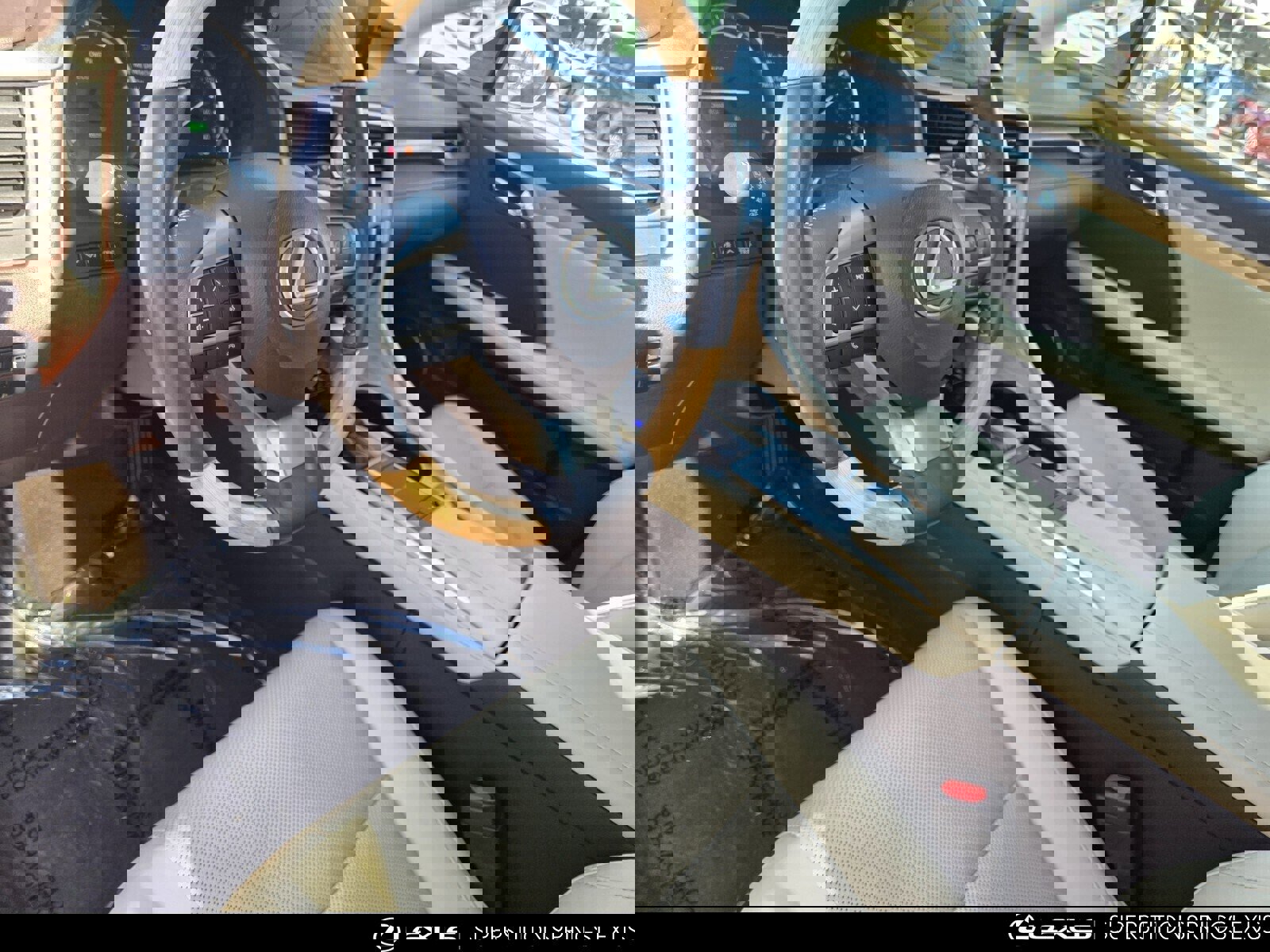 Certified 2020 Lexus RX 450hL AWD w/ Premium Package image 12