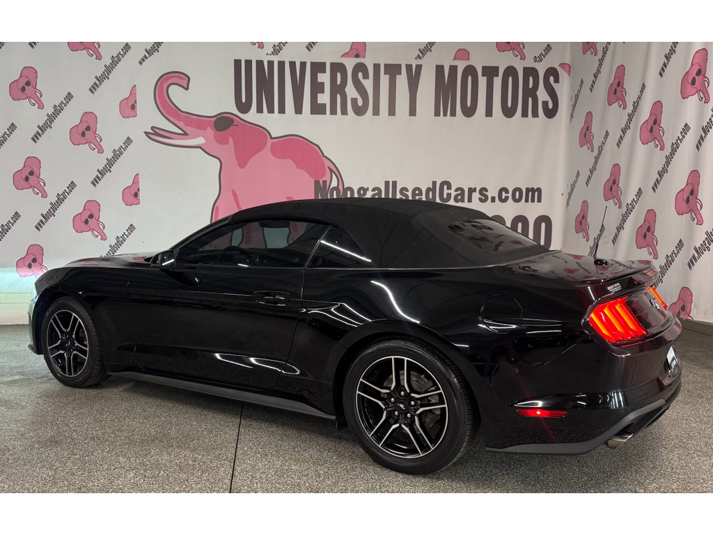 Used 2018 Ford Mustang Premium w/ Equipment Group 201A RWD image 15