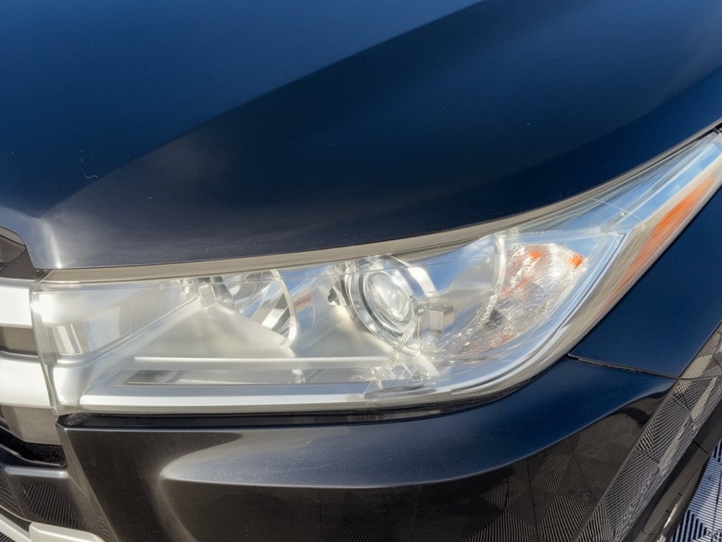 Used 2019 Toyota Highlander XLE AWD/4WD image 12
