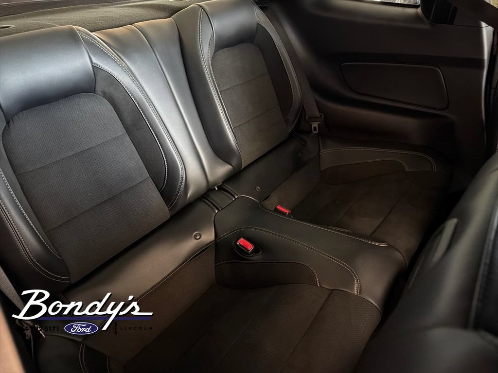 Used 2017 Ford Mustang Shelby GT350 RWD image 19