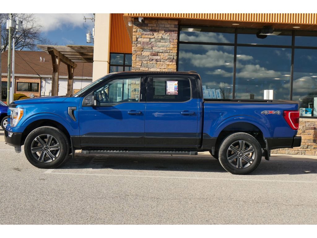 Used 2023 Ford F150 XLT w/ Equipment Group 302A High image 6
