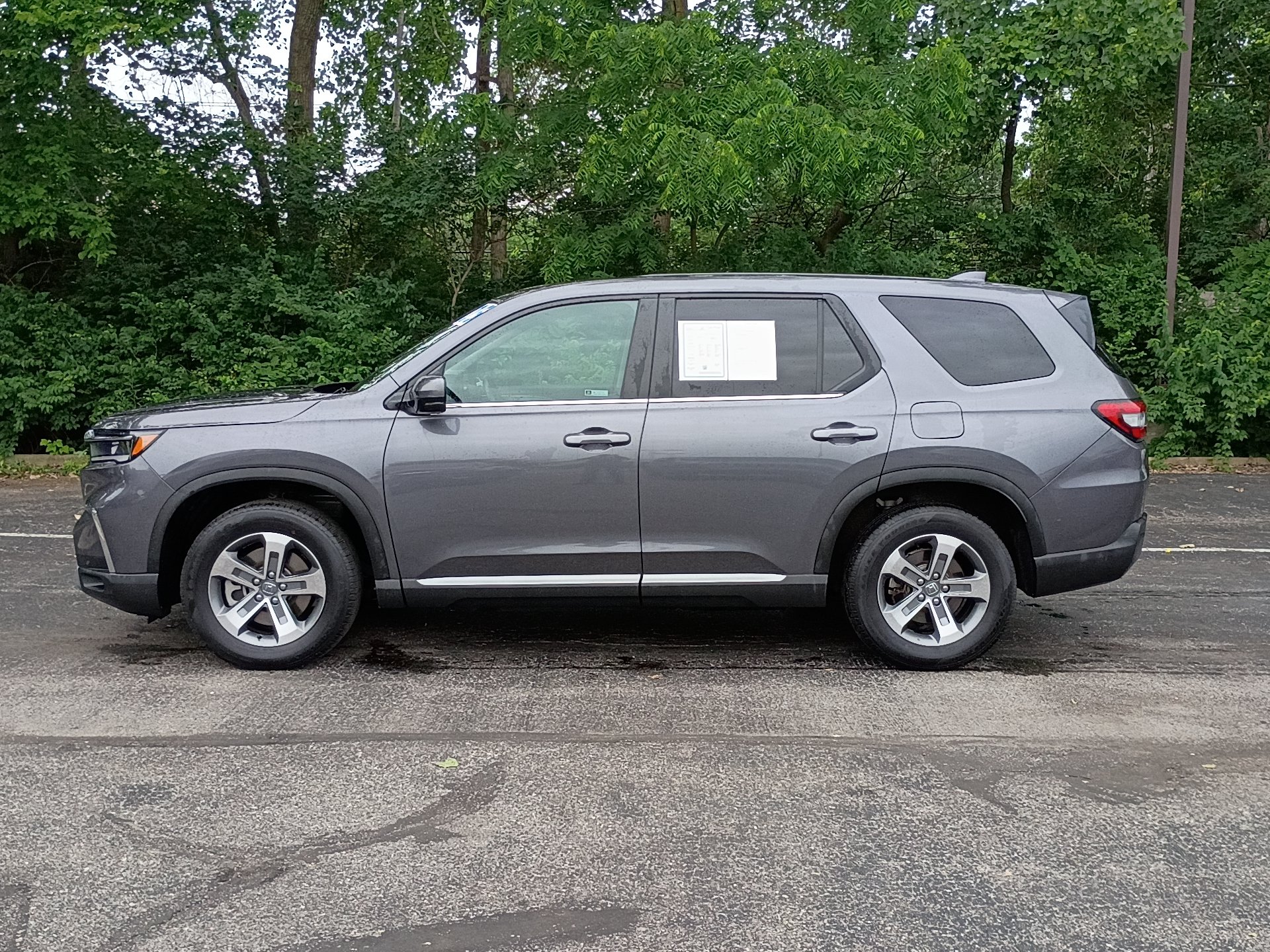 Certified 2025 Honda Pilot EX-L image 6