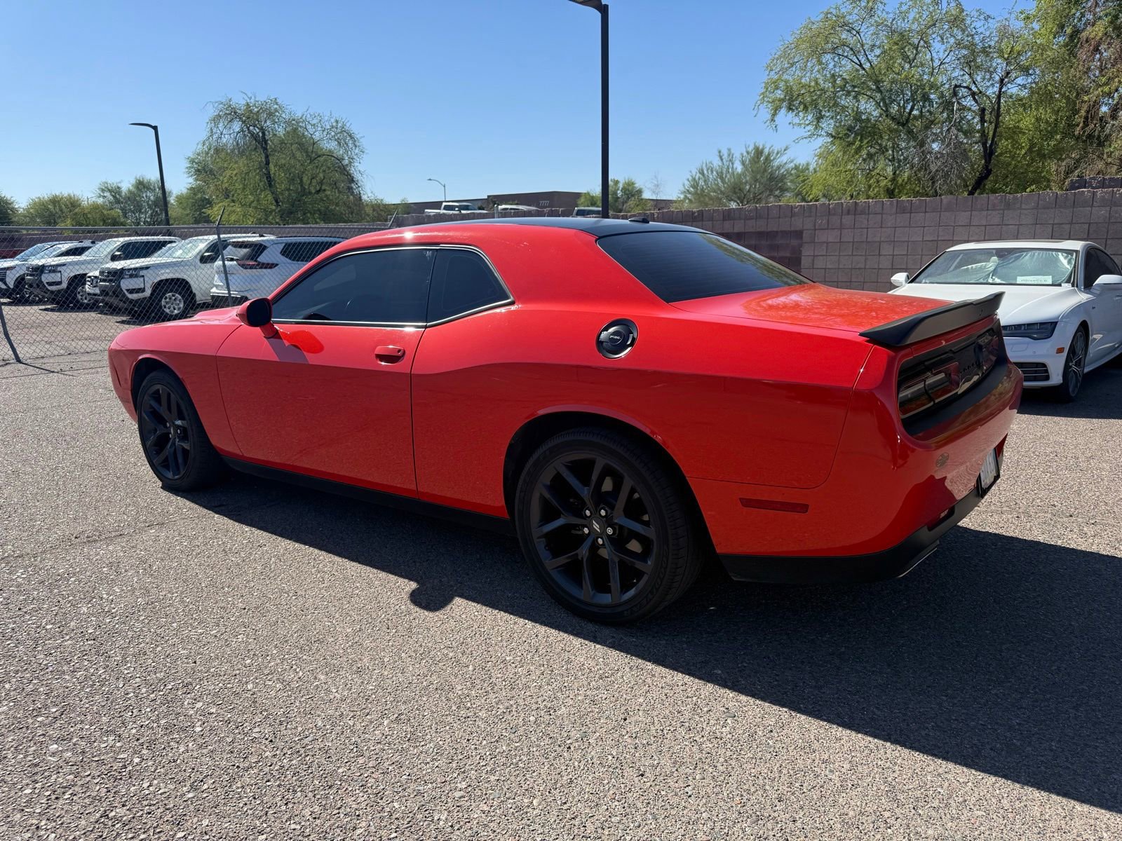 Used 2020 Dodge Challenger SXT w/ Blacktop Package RWD image 6