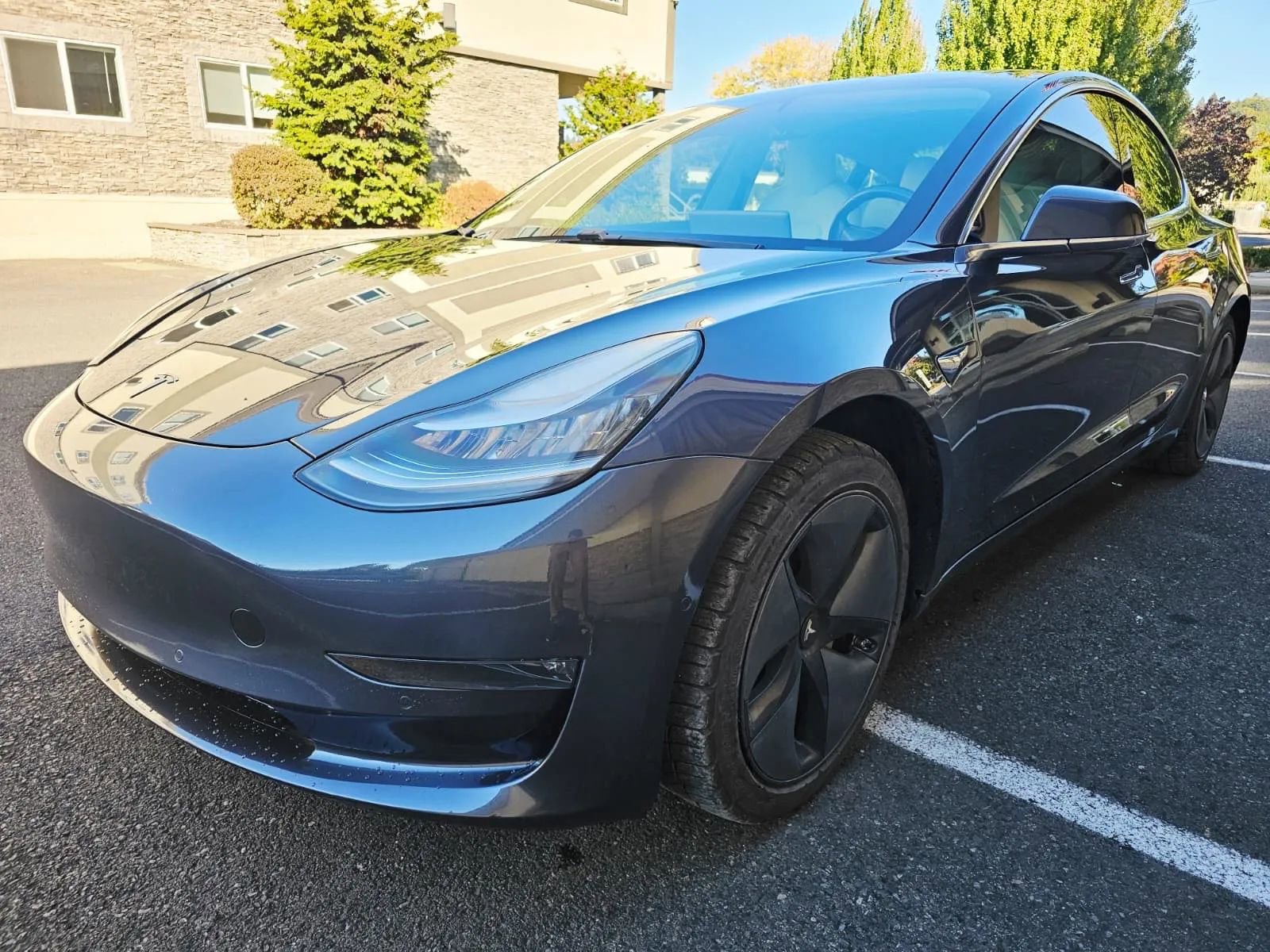 Used 2019 Tesla Model 3 Standard Range Plus image 1