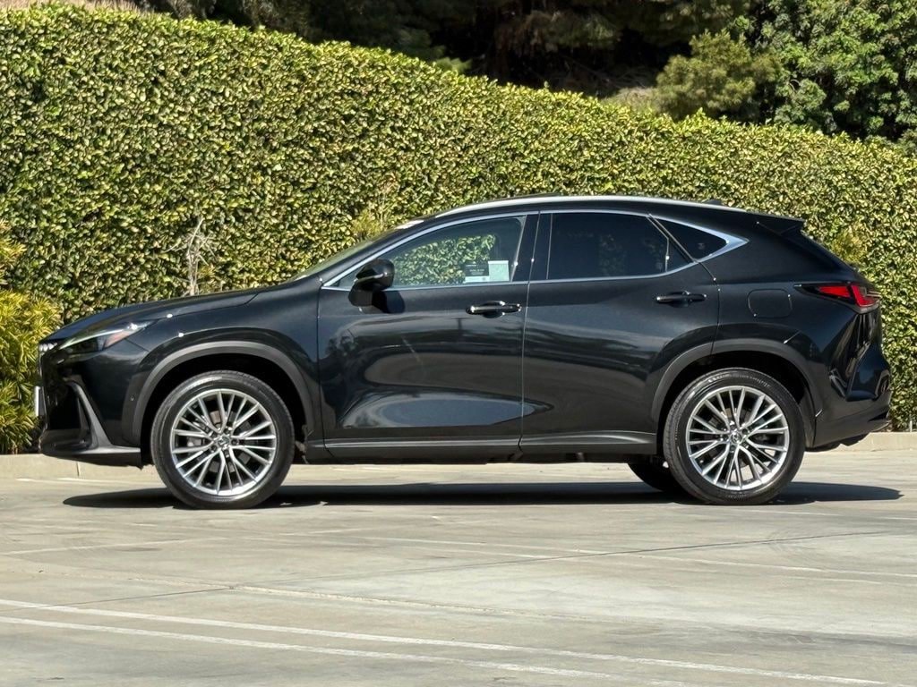 Certified 2025 Lexus NX 350h AWD w/ Cold Area Package image 8