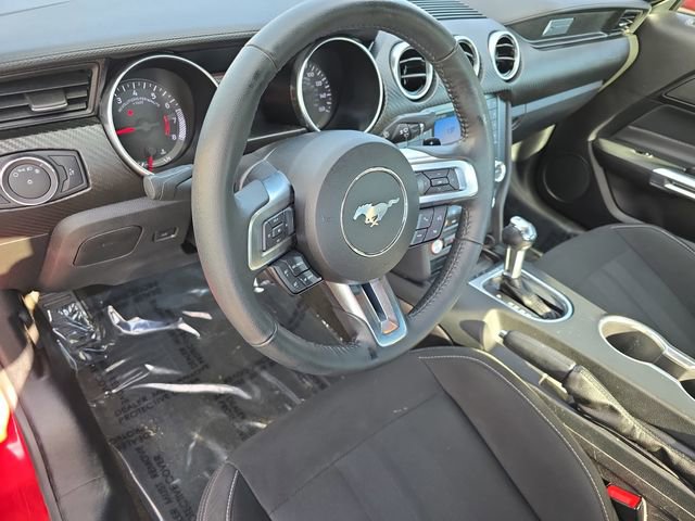 Used 2019 Ford Mustang EcoBoost image 15