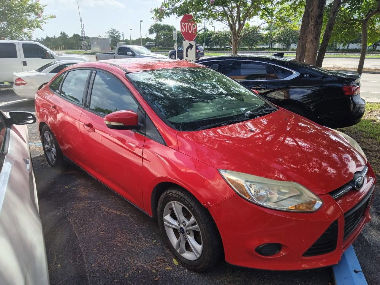 Used 2014 Ford Focus SE w/ SE Winter Package image 3