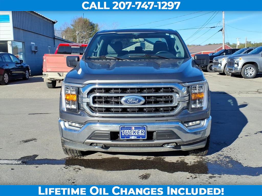 Used 2021 Ford F150 XLT w/ Equipment Group 302A High image 2