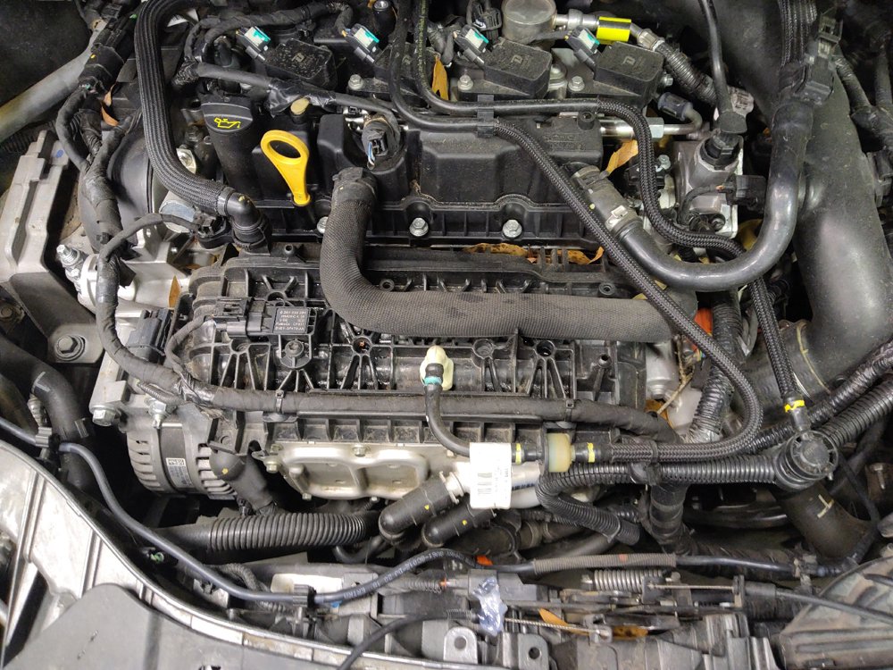 Used 2019 Ford Escape SE FWD image 30