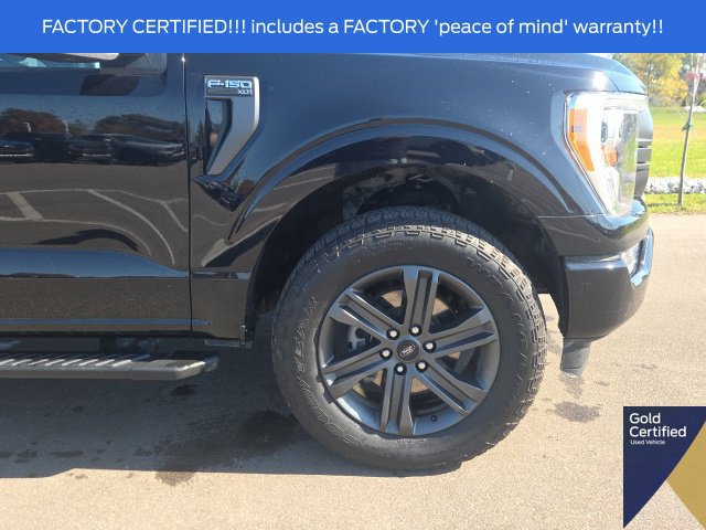 Used 2023 Ford F150 XLT w/ Equipment Group 302A High AWD/4WD image 6