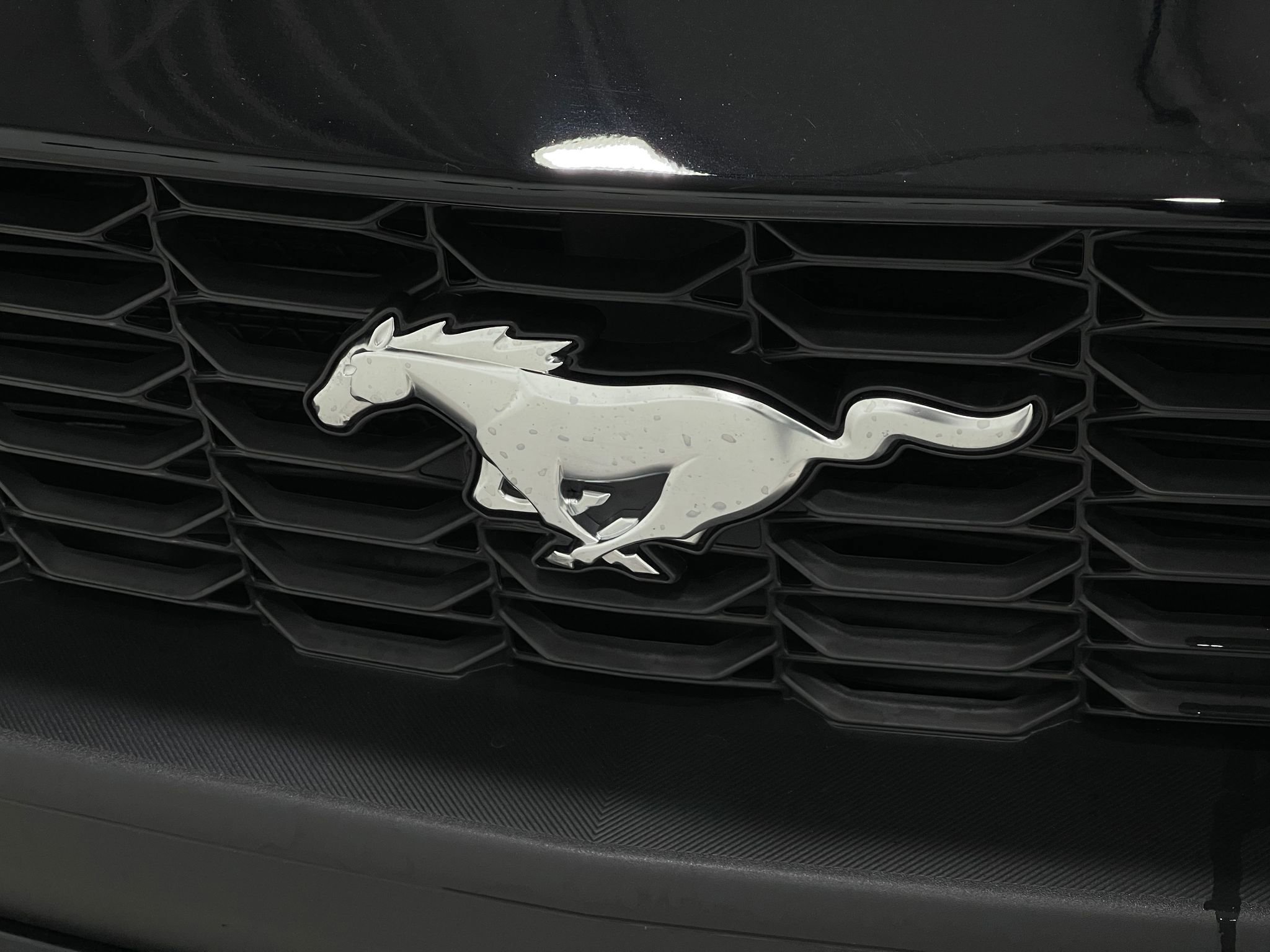 Used 2026 Ford Mustang Coupe RWD image 35