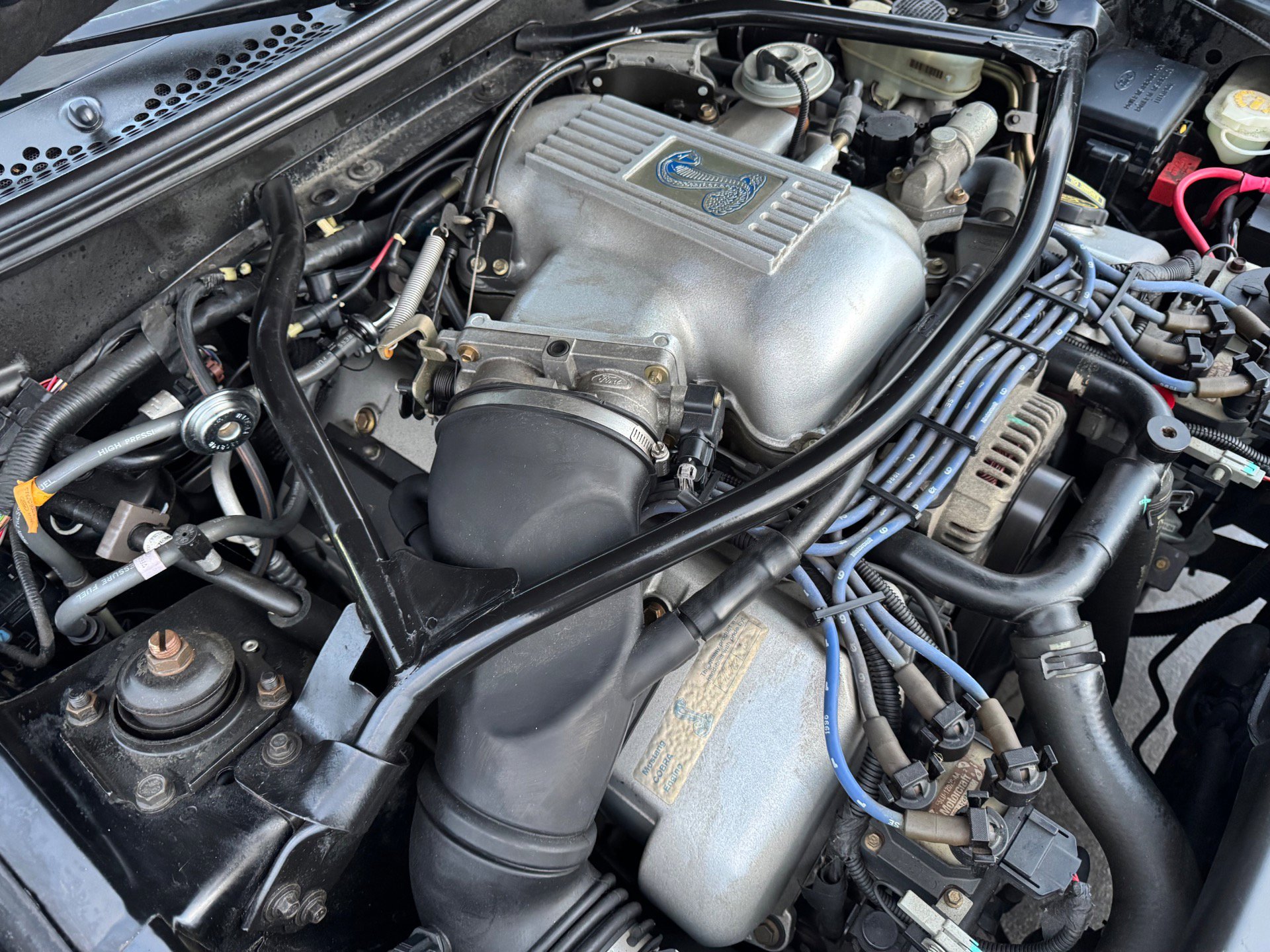 Used 1996 Ford Mustang Cobra RWD image 38