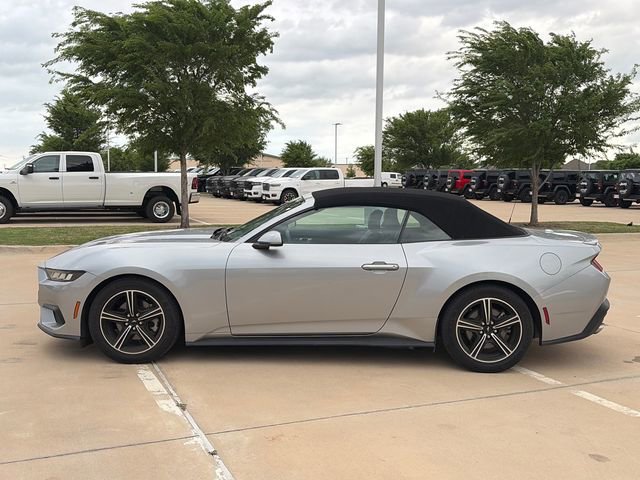 Used 2024 Ford Mustang Premium image 6