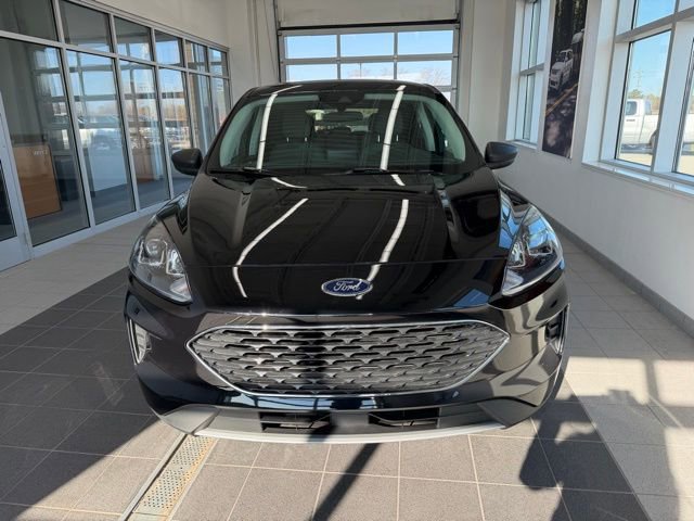 Used 2022 Ford Escape SE w/ Convenience Package image 2