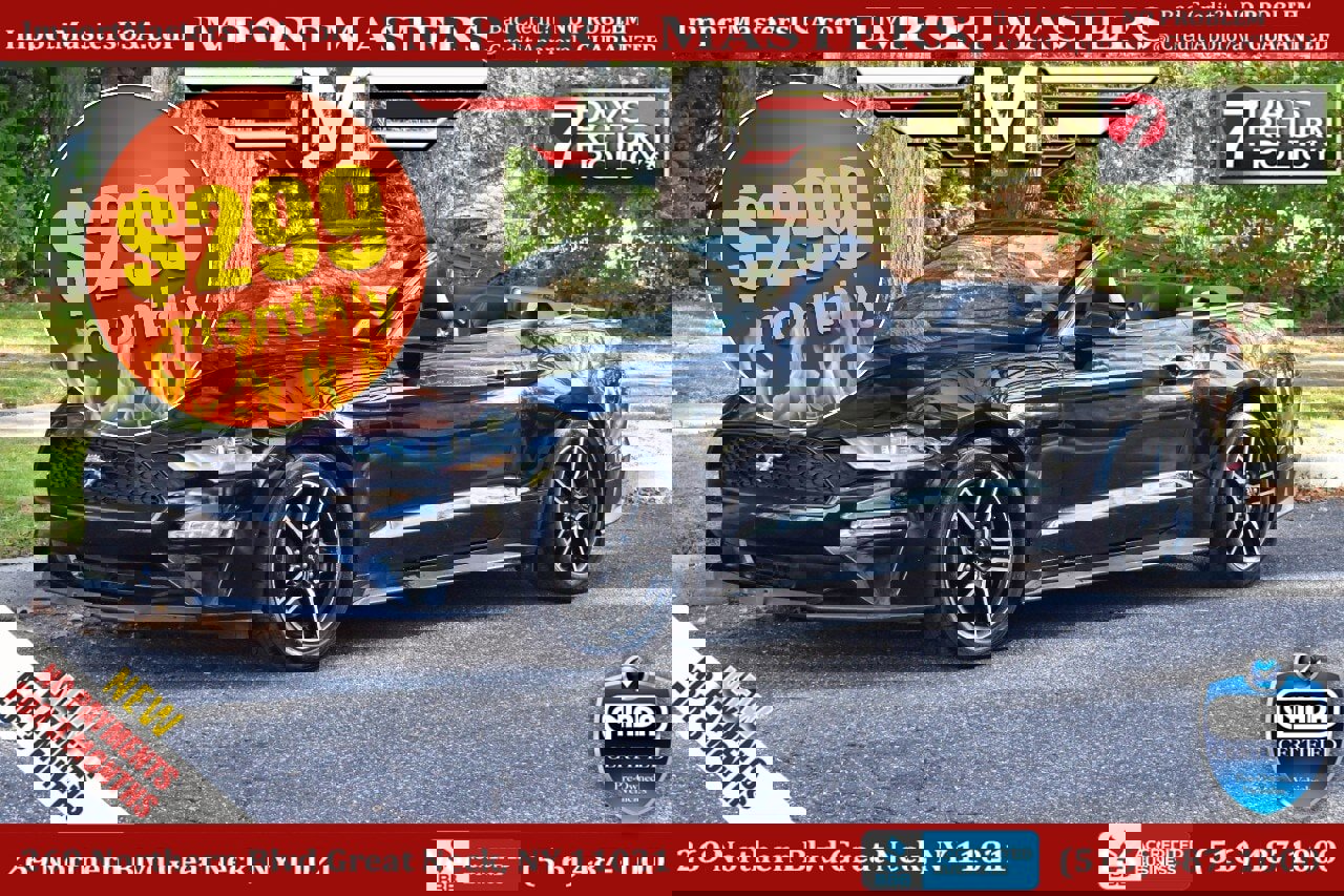 Used 2019 Ford Mustang Premium image 1