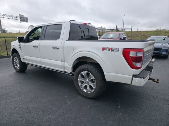 Used 2023 Ford F150 Platinum w/ Equipment Group 701A High image 7