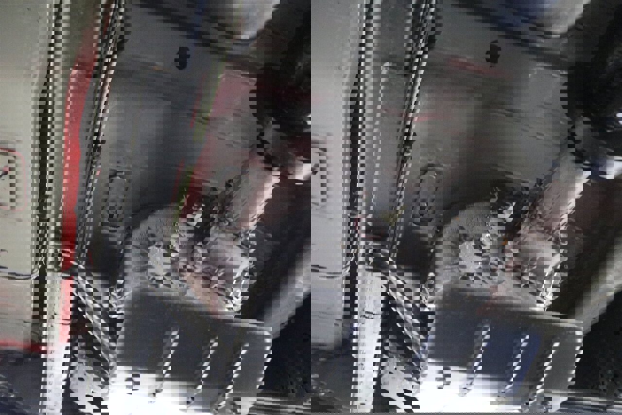 Used 1995 Dodge Ram 3500 Truck 4x4 Regular Cab image 29