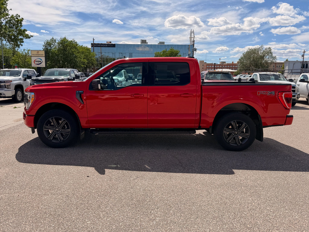 Used 2023 Ford F150 XLT w/ Equipment Group 302A High