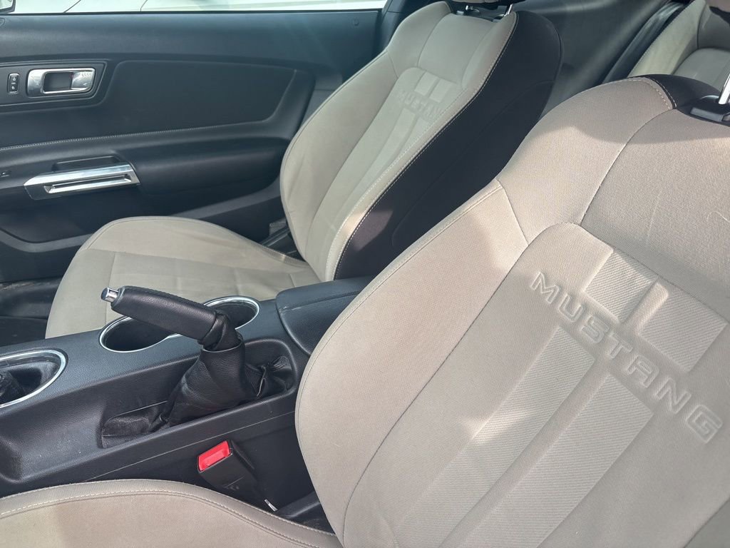 Used 2018 Ford Mustang GT w/ Equipment Group 301A image 10