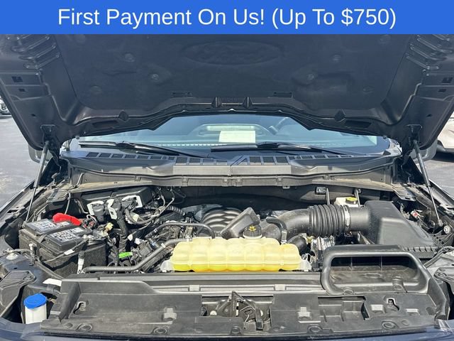 Used 2025 Ford F150 XLT w/ Equipment Group 301A Standard AWD/4WD image 26