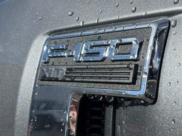 New 2025 Ford F150 XLT w/ Equipment Group 302A MID image 18