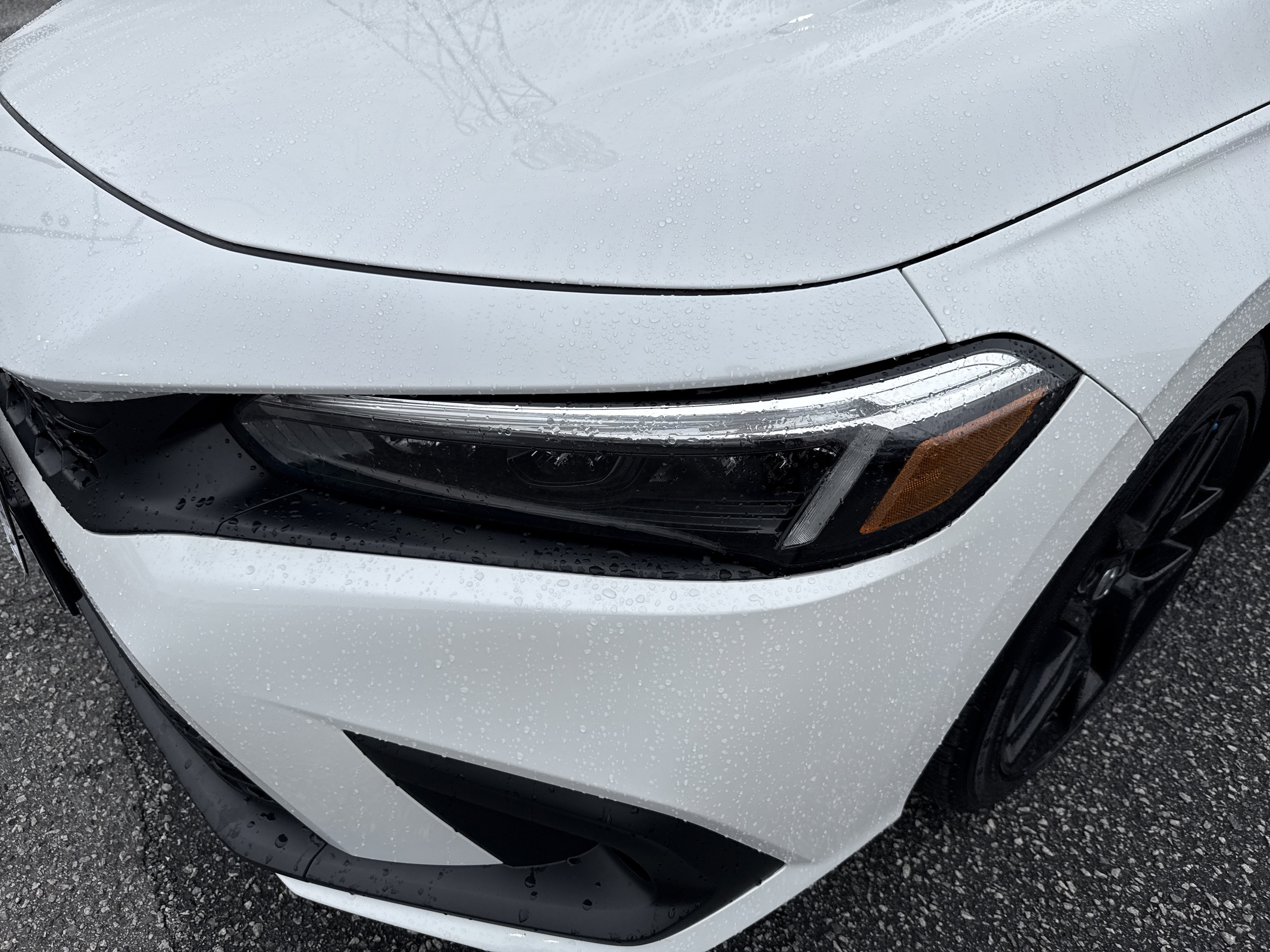 Certified 2024 Honda Civic Sport image 6