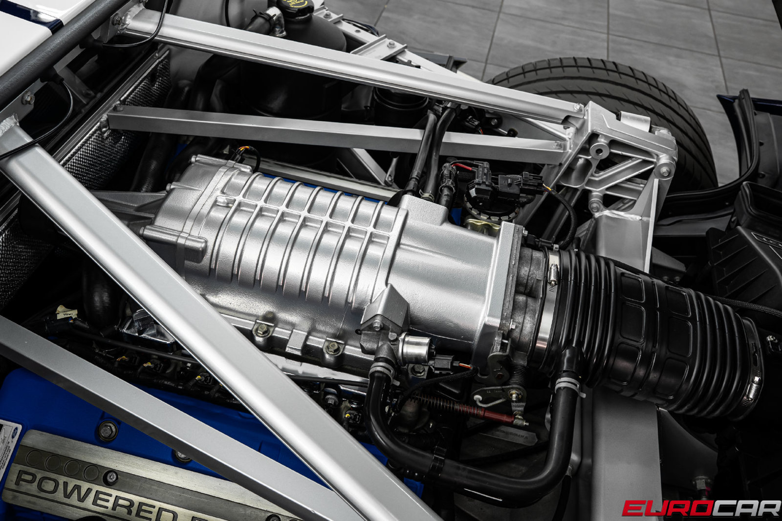 Used 2005 Ford GT RWD image 24