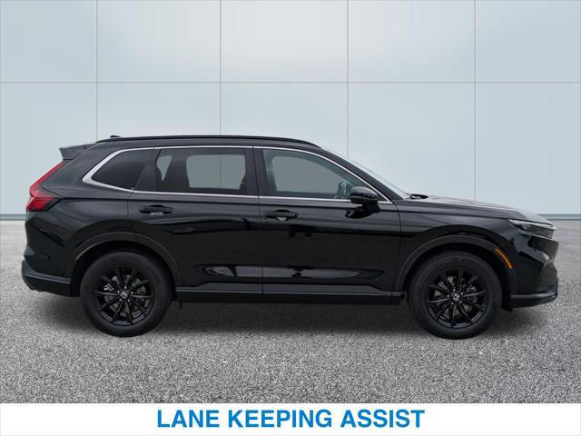 Certified 2024 Honda CR-V Sport image 6