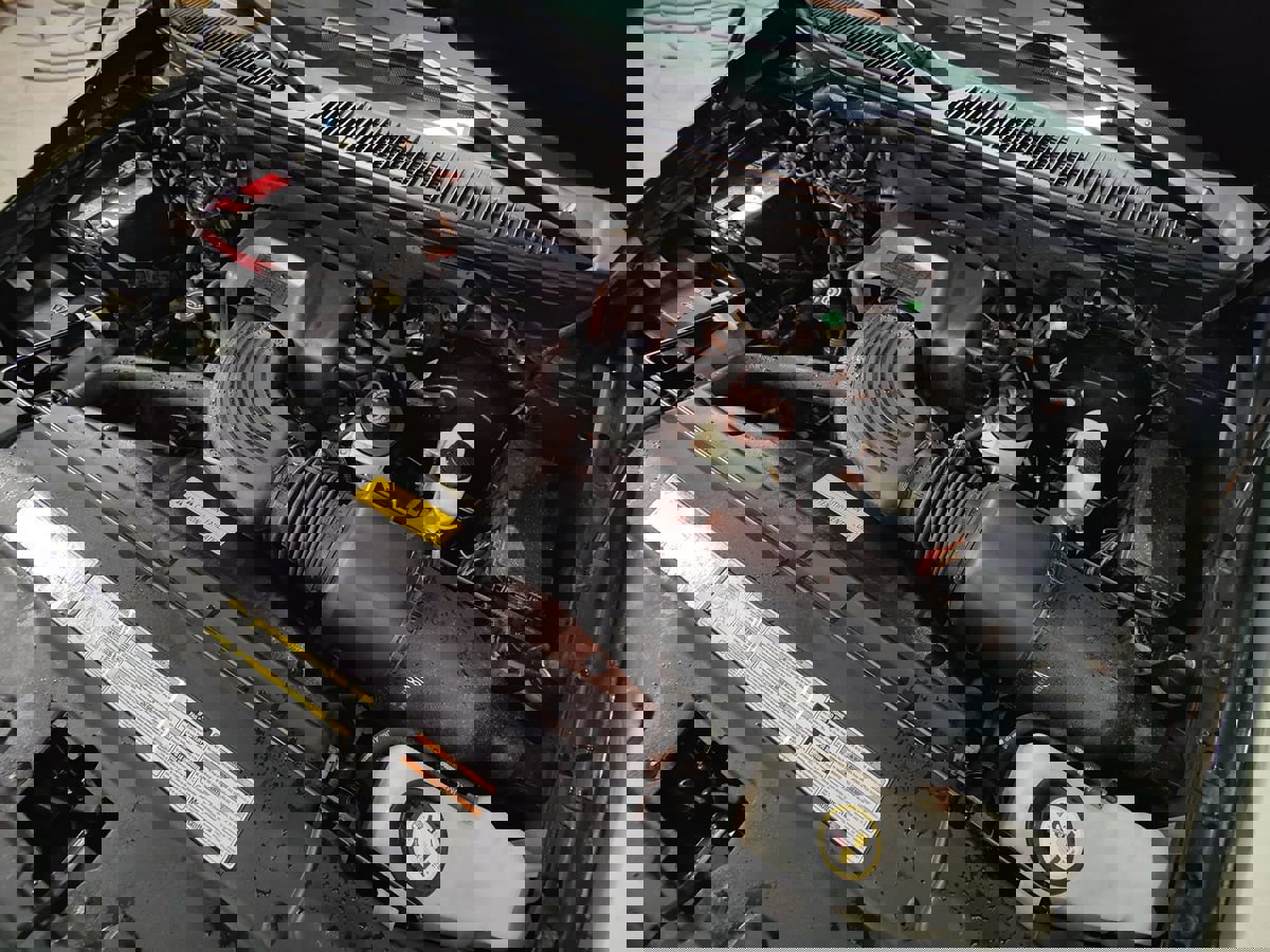 Used 2000 Ford F150 Harley-Davidson image 5