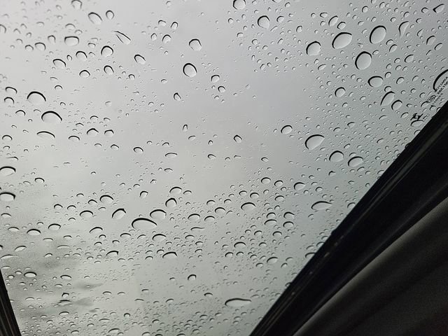 Used 2024 Chevrolet Silverado 1500 LT Trail Boss w/ Convenience Package II image 16