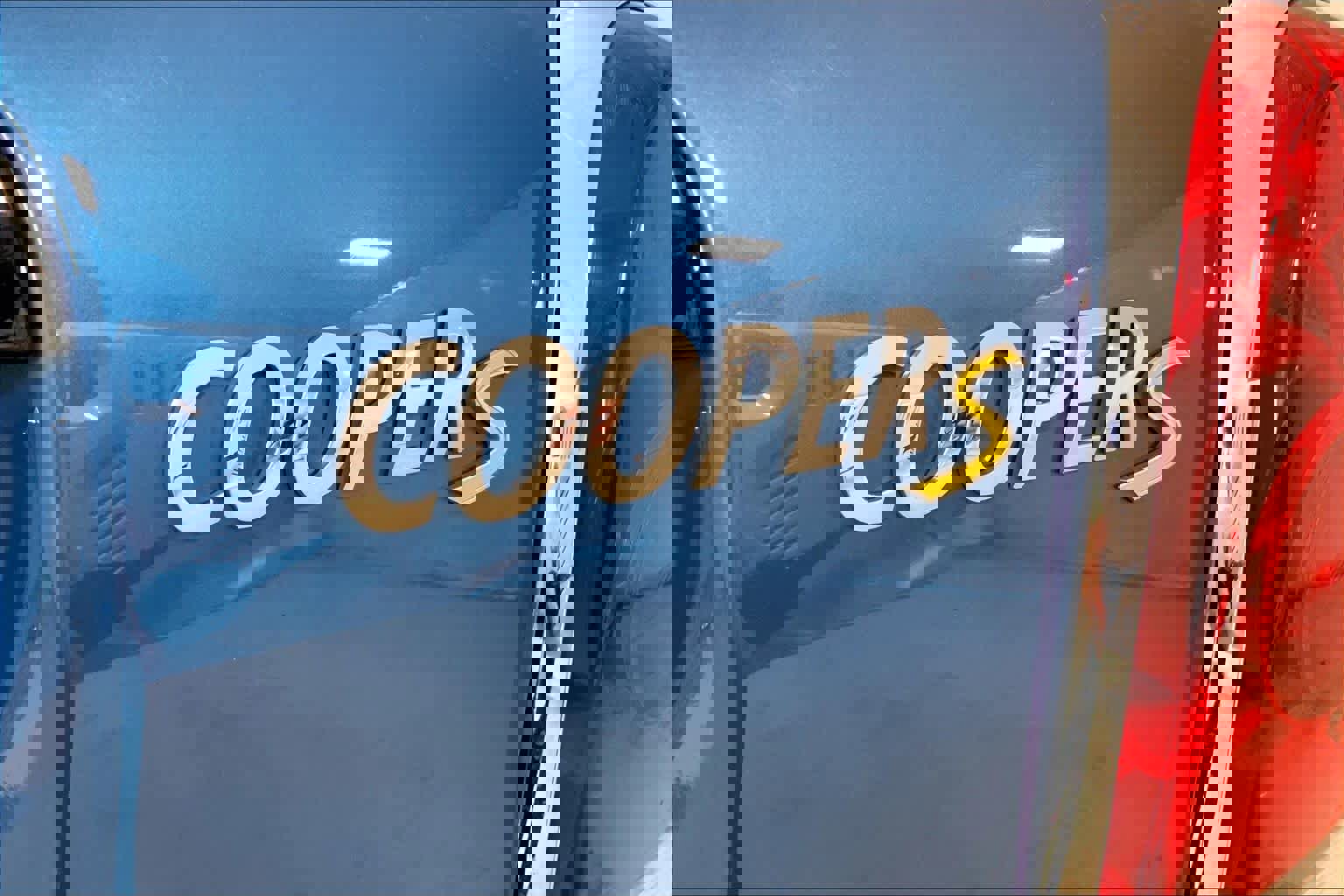 Used 2019 MINI Cooper Countryman SE w/ Driver Assistance Package image 9