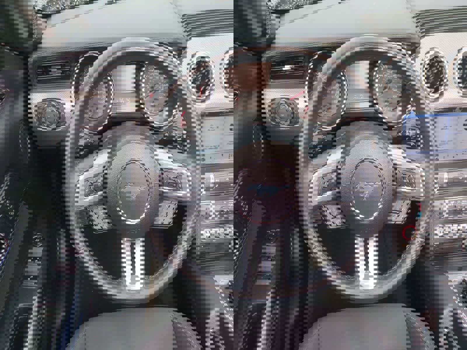 Used 2018 Ford Mustang EcoBoost w/ Equipment Group 101A image 22