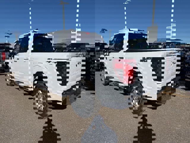 New 2025 Ford F150 XLT w/ Equipment Group 302A MID image 3